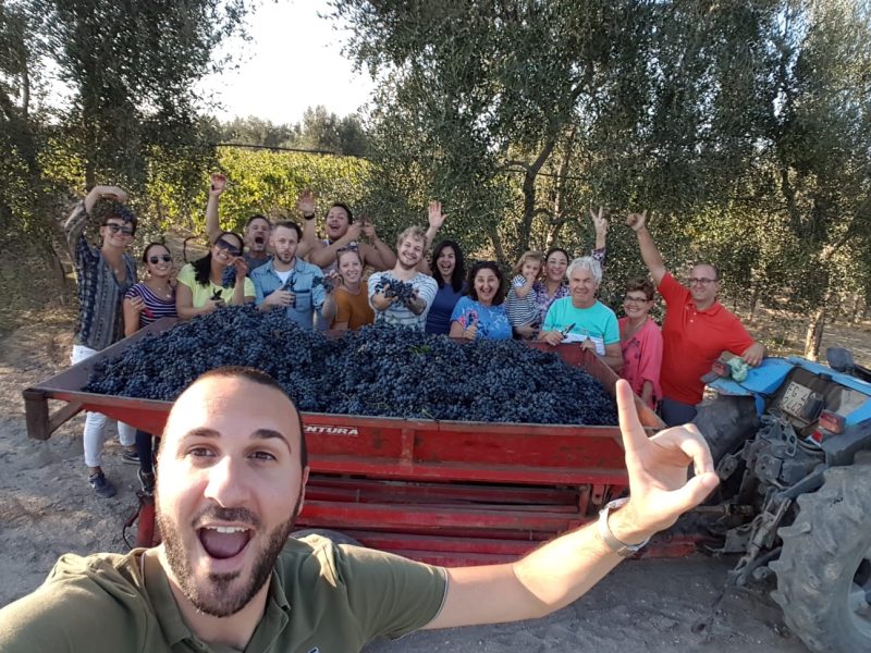 terrae aufidae gallery (21)